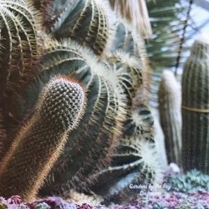 8 x 10 Photo wrapped canvas wall art